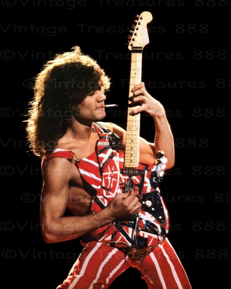 Van halen shop board shorts