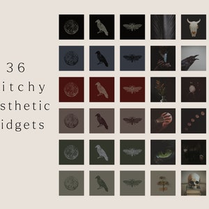 36 witchy aesthetic widgets: a mixture of photographic images and antique engravings of crows moons and moths. Muted dark tones of inky black, midnight blue, dark red, dark green and olive green & images  like cats, skulls, dried herbs & pumpkins