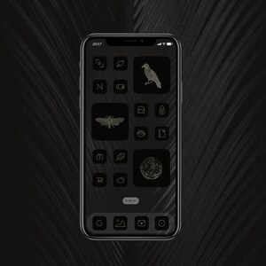 dark witchy aesthetic phone theme showing a mockup of the app icons, widgets and wallpapers used together: vintage engravings of a raven, a moth and the moon, and dark icons all matching