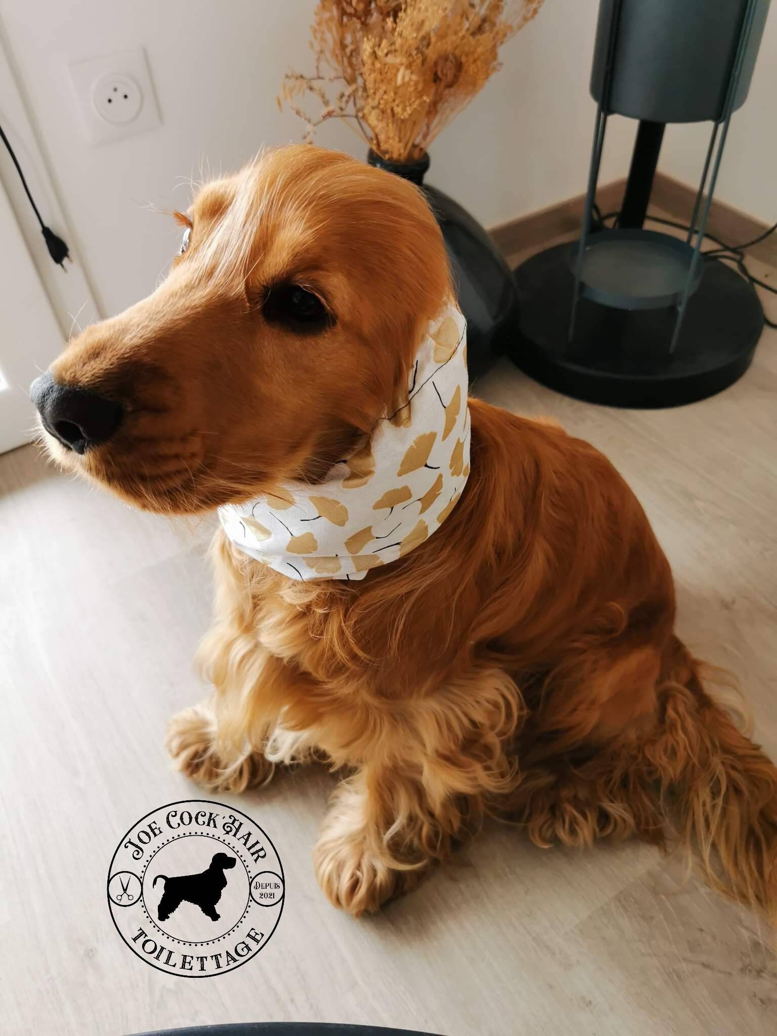 Snood ?Golden Japan?