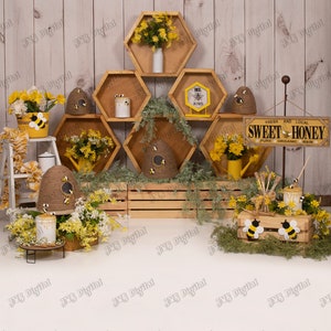 Child, Toddler, Digital Summertime Honeybee with honeycomb backdrop with beehives and themed props. Portrait and Landscape versions included