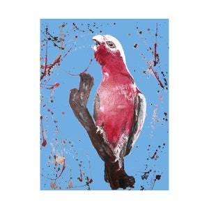 Rolled Poster Perce the Galah