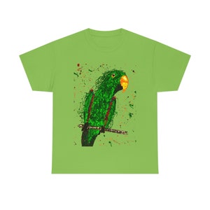 Roger - Eclectus. My laidback and charming man