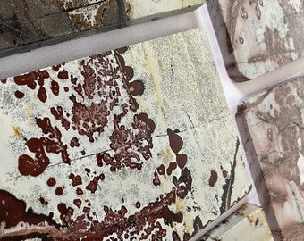 Pode incluir: Close-up de várias placas de pedra retangulares. As placas apresentam uma mistura de cores, incluindo branco, castanho e castanho avermelhado, com padrões e texturas únicos. As pedras naturais têm uma estética rústica e terrosa.