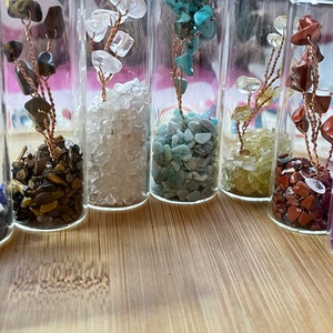 Money Tree Mini Glass Bottle chips. So Cute!