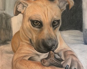 Colour Pet Portrait (30X40cm)