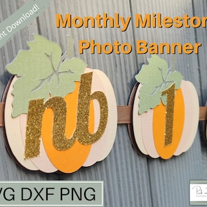 Monatlicher Meilenstein Fotobanner SVG | Erste Geburtstagsparty Dekorationen | PNG | Dxf