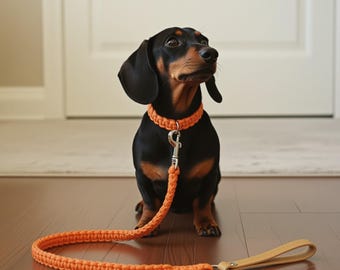 Handcrafted Macrame Dog Leash: Cotton Rope with Leather Handle