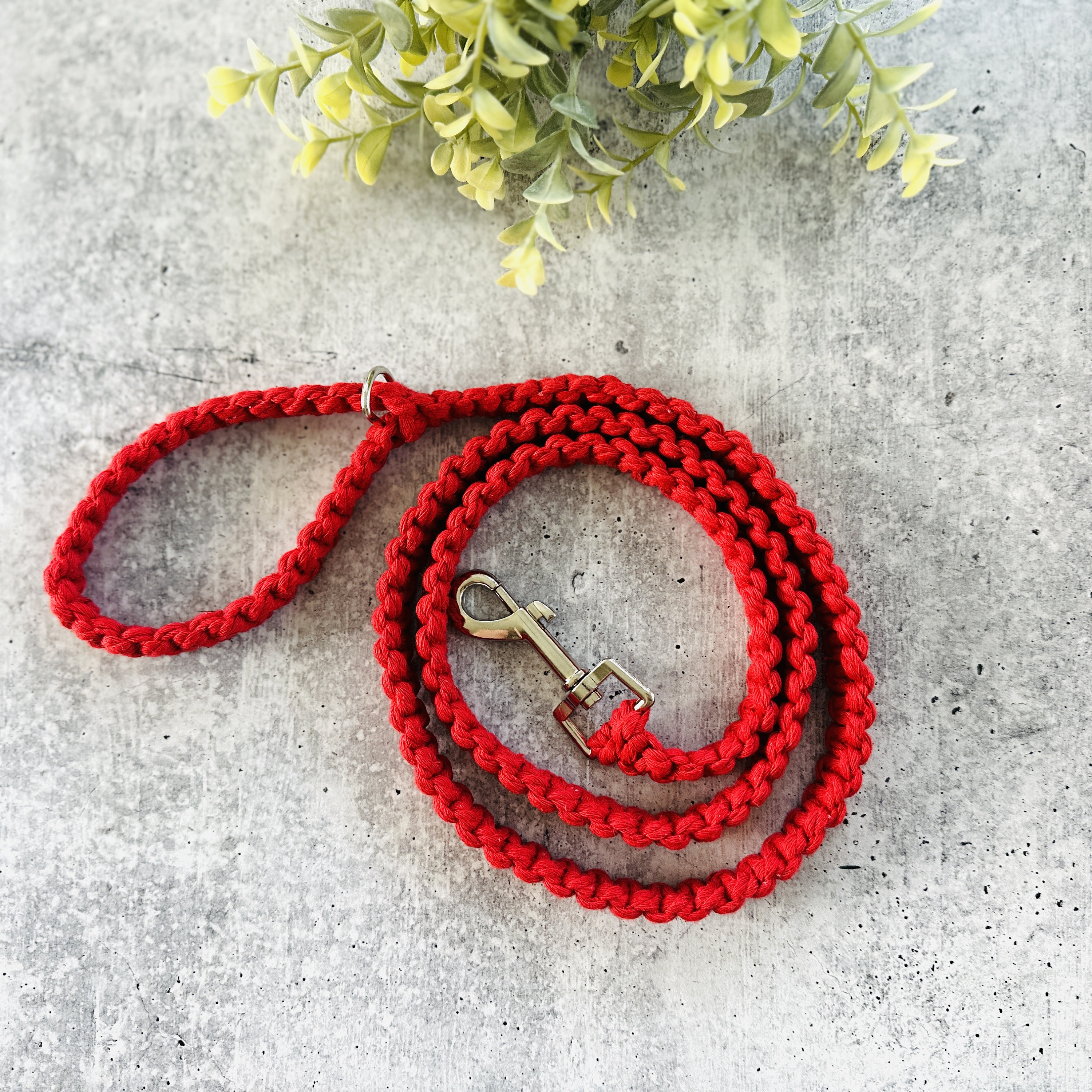Handmade Macrame Dog Leash: Cotton Rope Pet Lead