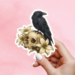 Può includere: Un adesivo raffigurante un corvo nero appollaiato su un teschio adornato con gigli color crema. Il corvo ha piume dettagliate e il teschio ha un aspetto invecchiato. L'adesivo è tenuto su uno sfondo rosa.
