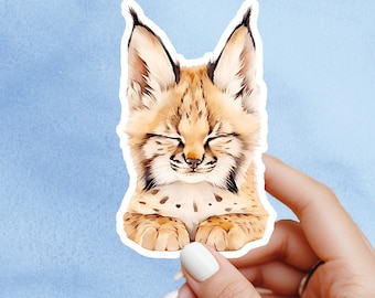 May include: A sticker featuring a watercolor illustration of a resting lynx. The lynx has closed eyes, tan fur with black spots, and black-tipped ears. The sticker is held by a hand with a white painted nail.