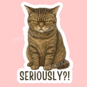 Sassy cat Sticker, cat Sticker, gothic sticker, sarcastic sticker, funny cat sticker, Kindle Sticker, black cat sticker, sticker dark humour 画像 2