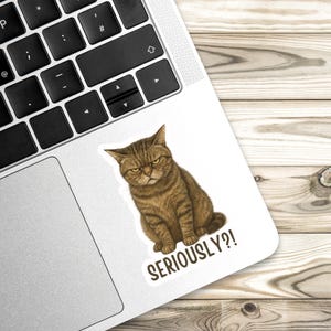 Sassy cat Sticker, cat Sticker, gothic sticker, sarcastic sticker, funny cat sticker, Kindle Sticker, black cat sticker, sticker dark humour 画像 5