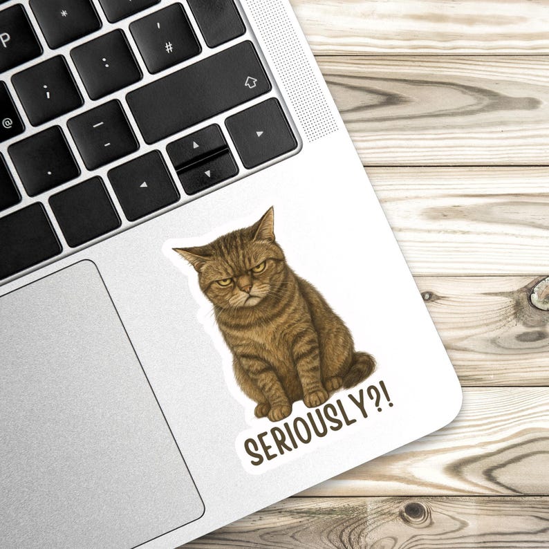 Sassy cat Sticker, cat Sticker, gothic sticker, sarcastic sticker, funny cat sticker, Kindle Sticker, black cat sticker, sticker dark humour 画像 5