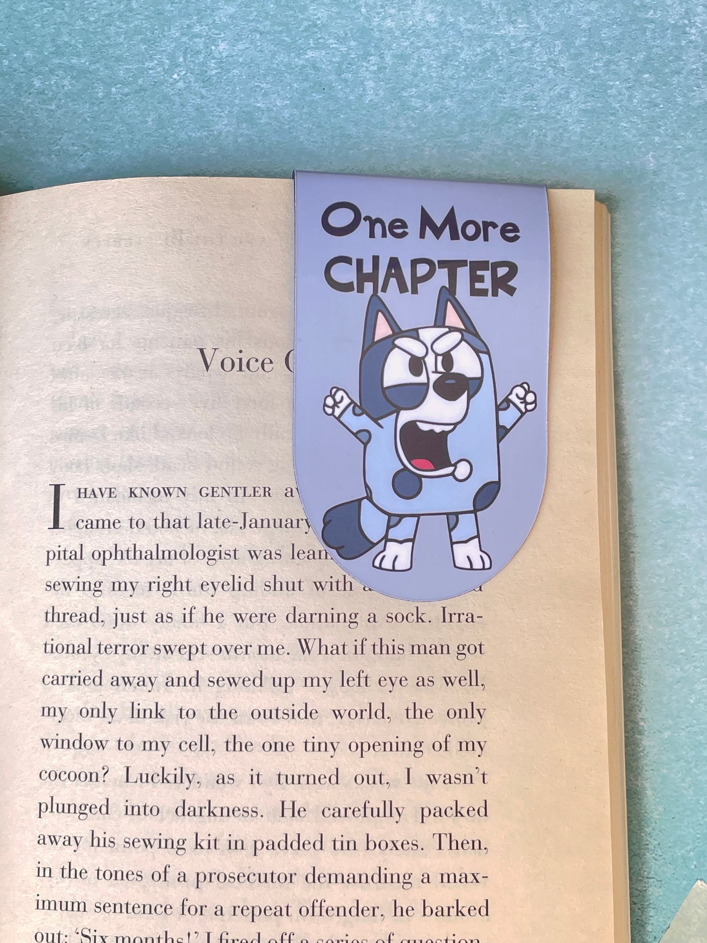 Bluey Bookmark Bookmark Bookmark Bingo and Bluey Etsy