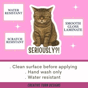 Sassy cat Sticker, cat Sticker, gothic sticker, sarcastic sticker, funny cat sticker, Kindle Sticker, black cat sticker, sticker dark humour 画像 3