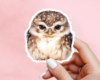 Owl Sticker, owl Art, Wildlife sticker, nature sticker, laptop sticker, phone sticker, water bottle sticker, woodland sticker, owl decal