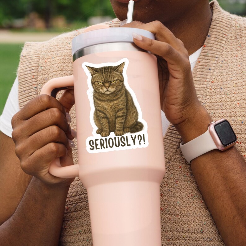 Sassy cat Sticker, cat Sticker, gothic sticker, sarcastic sticker, funny cat sticker, Kindle Sticker, black cat sticker, sticker dark humour 画像 6