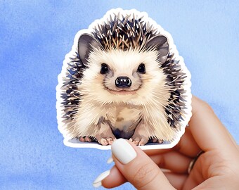 Hedgehog Sticker, Wildlife sticker, nature sticker, laptop sticker, phone sticker, water bottle sticker, woodland sticker
