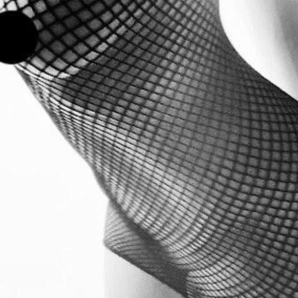 8x10 Photograph Risque Lingerie Woman Model Fishnet stocking