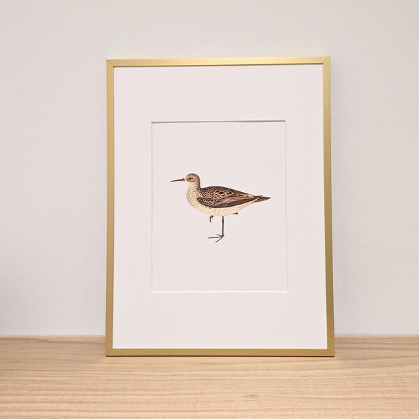 Sandpiper | Art Print| Minimalist| Lake House Art | Nature Art | Cabin Art | Airbnb Art I Ecotourism I Eco-Friendly