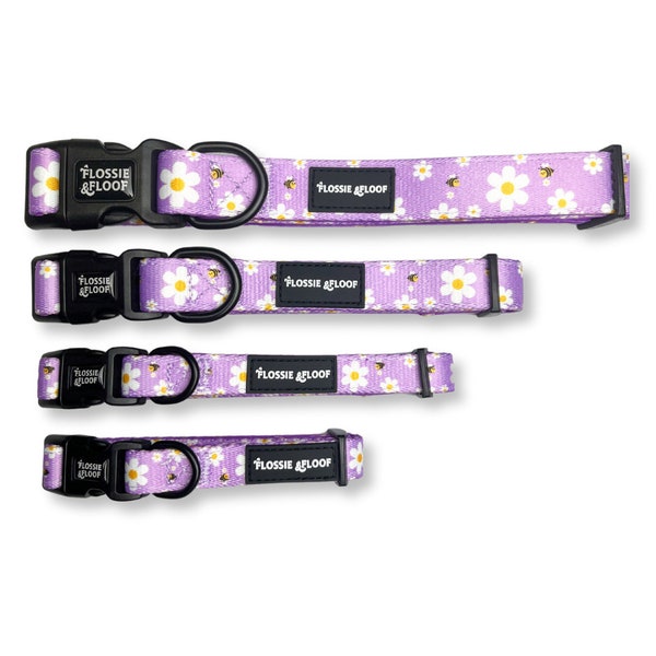 Cute as Can Bee adjustable puppy dog collar