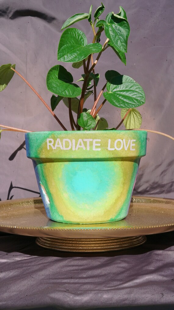 Flower Hand Painted Pot With Saucer Etsy