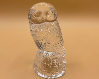 Pisapapeles de búho de cristal transparente: elegante decoración de vida silvestre
