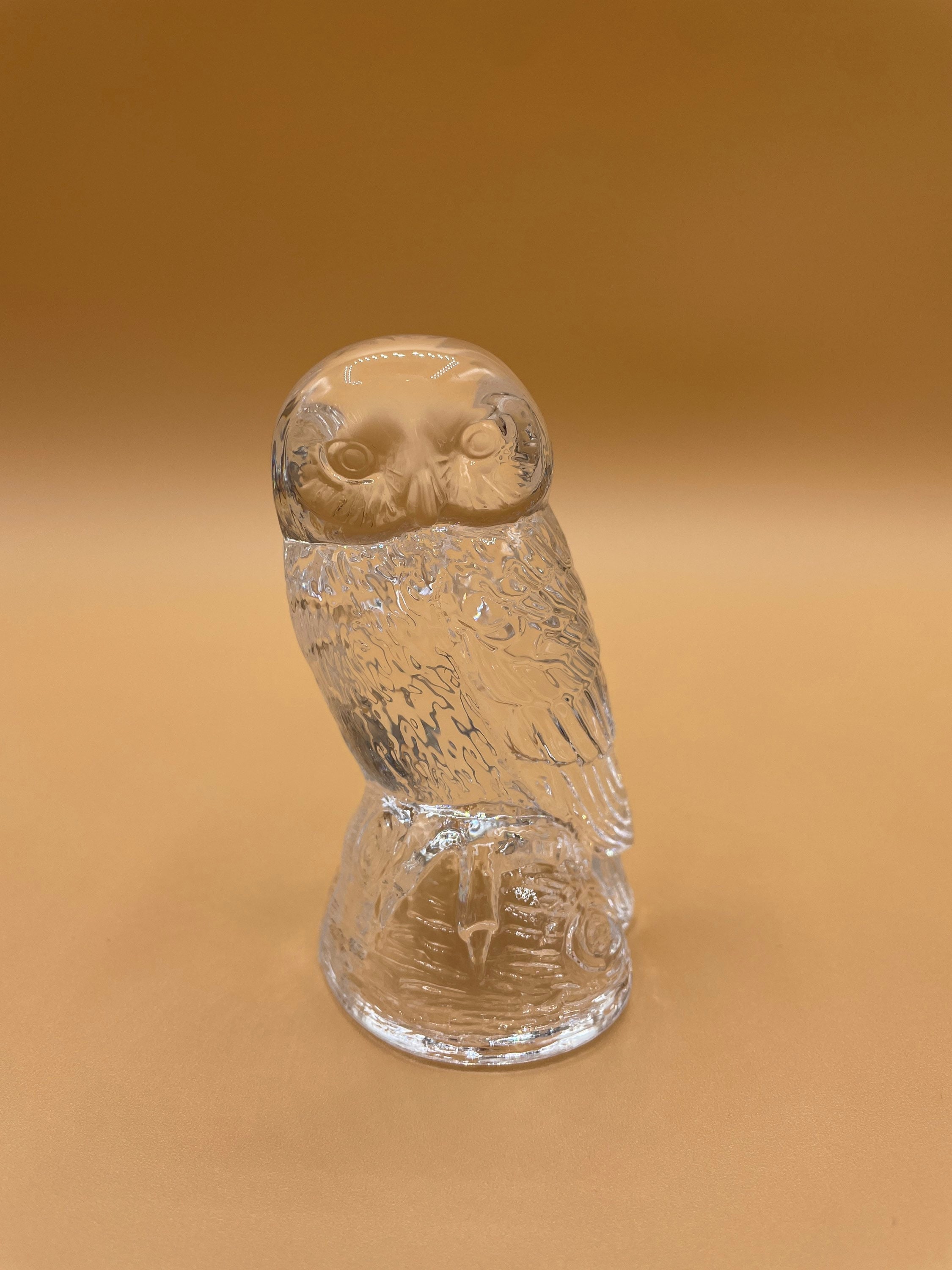 Clear Glass Owl Paperweight &ndash; Elegant Wildlife Decor