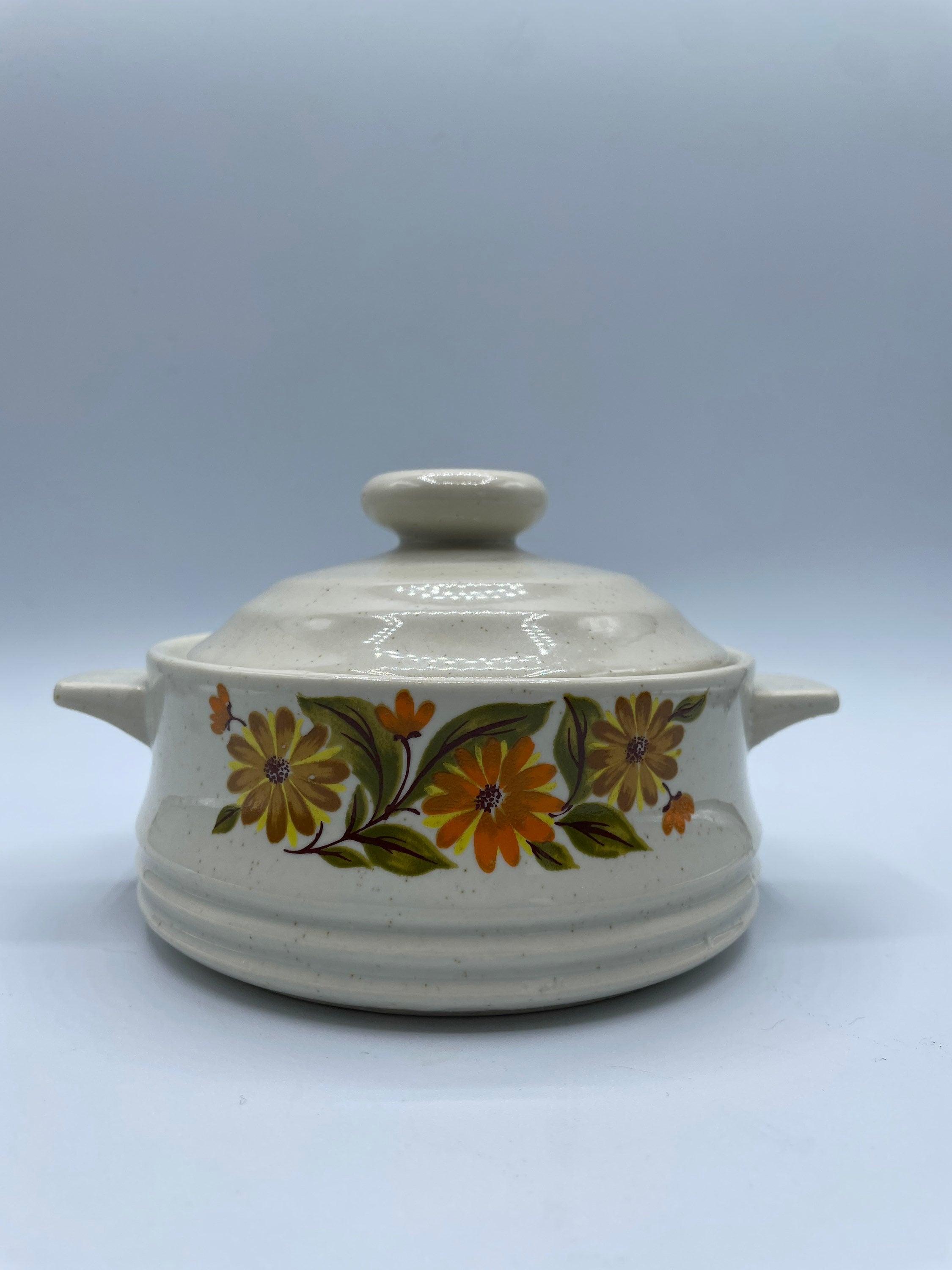 Vintage Capri Bake Serve N' Store Individual Stoneware Etsy