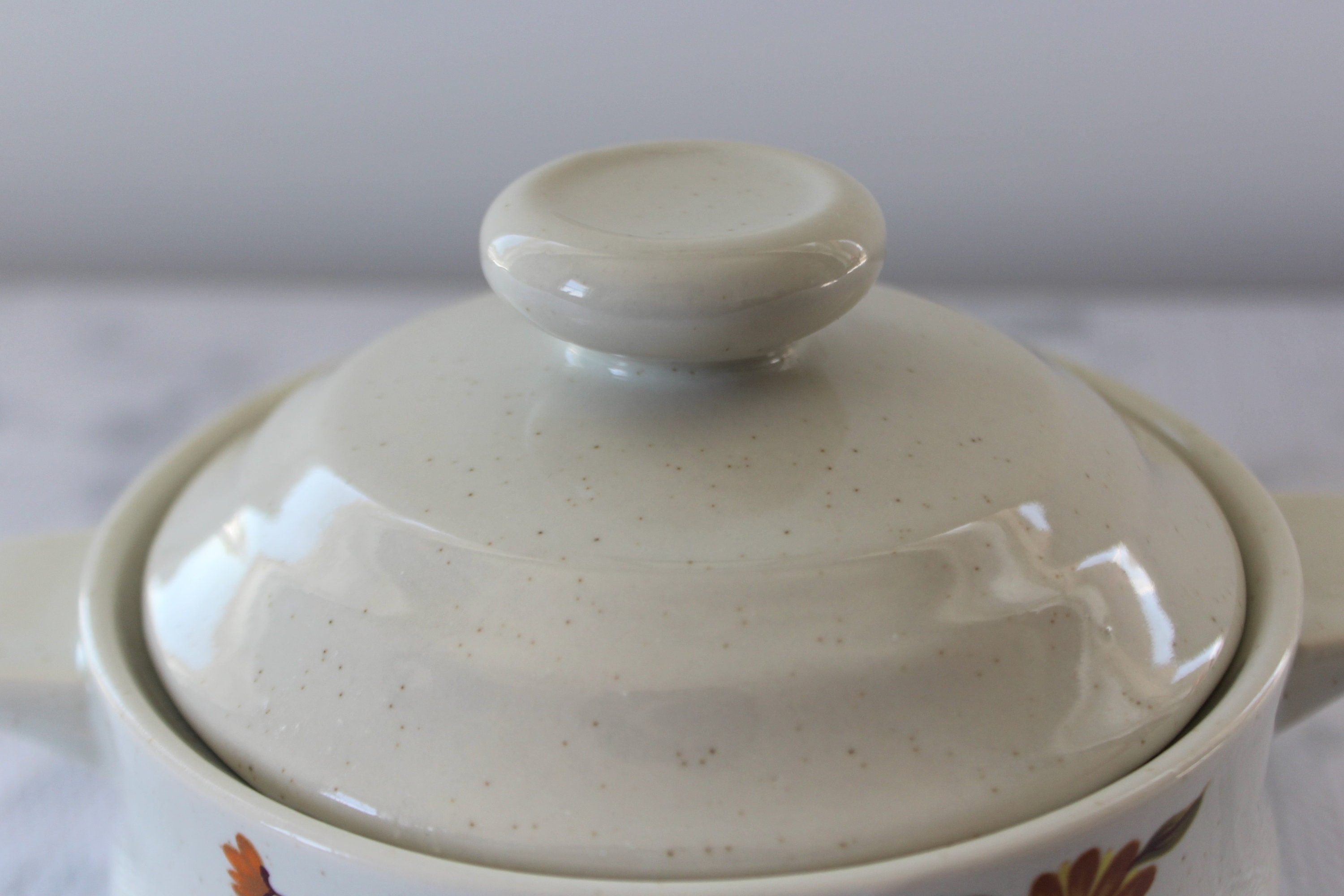 Vintage Capri Bake Serve N' Store Individual Stoneware Etsy