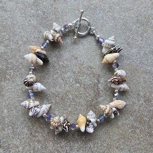 Op de afbeelding: Een armband met een reeks kleine, natuurlijke schelpen in tinten bruin, beige en wit, afgewisseld met kleine, iriserende blauwe kralen en zilverkleurige metalen tussenstukjes. Het sieraad wordt gesloten met een zilverkleurige metalen knevelsluiting.