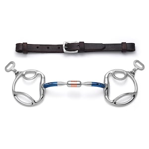 May include: A blue and silver horse bit with a leather headstall. The bit has a loose ring on each end and a center jointed mouthpiece.