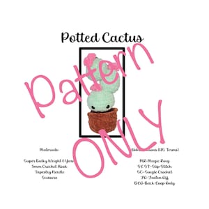 Potted Cactus- *POTTED CACTUS&quot;