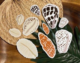 Shell Stickers | Waterproof | UV Resistant | Laptop Decal | Water Bottle | Die cut