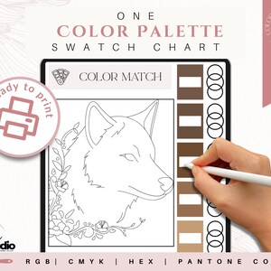 Marken-Farbpalette | Luxus-Farbpalette | Farbpalette mit CMYK, RGB & Hex Codes | Premium Farbpalette | Boho-Träume Bild 14