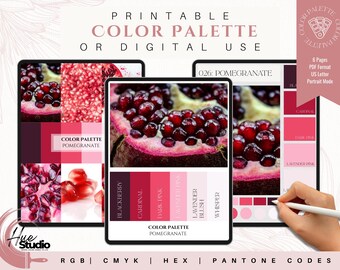 Marken-Farbpalette | Luxus-Farbpalette | Farbpalette mit CMYK, RGB & Hex Codes | Premium Farbpalette | Granatapfel