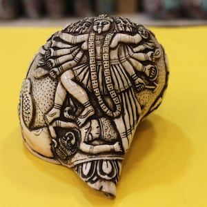 Fine Handcrafted Tibetan Conch Shell with Goddess Kali For Blowing Purpose