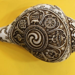 Tibetan Buddhist Eight Auspicious Symbols Conch Shell Trumpet | Handmade in Nepal | Tibetan Buddhist Conch Shell