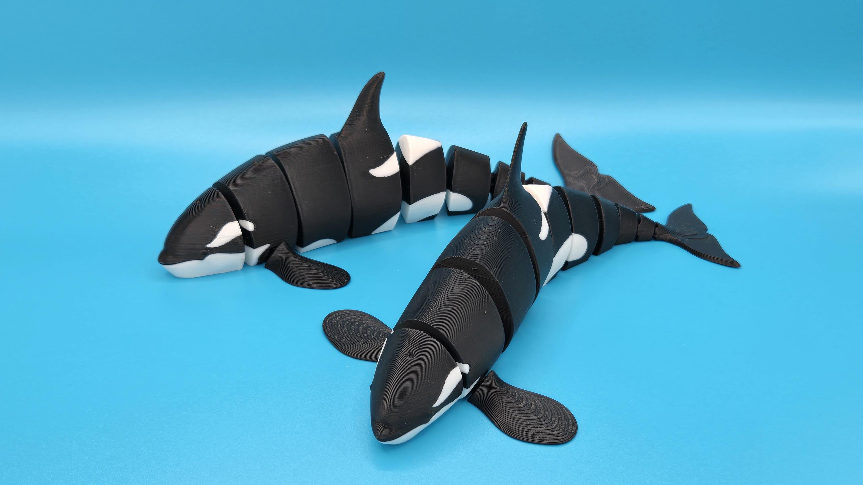 Articulated Orca Whale Flexi – 7.5 Inch Flexible Kids Toy, 3D