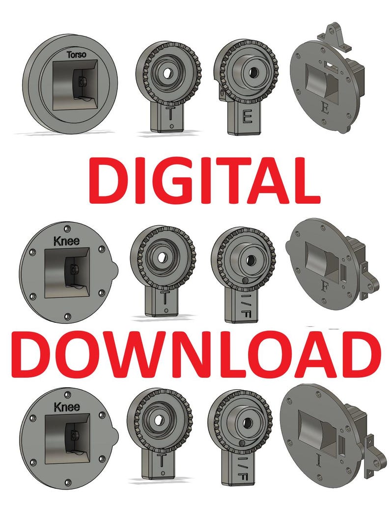 May include: A set of 3D printed models of human body parts, including the torso, knee, and a side view of the knee. The models are labeled with the body part name and have a gear-like design on the side. The text "DIGITAL DOWNLOAD" is printed in red letters below the models.
