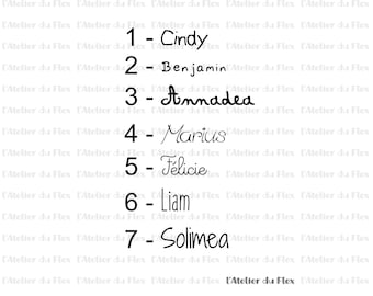 Personalized first name flocking, iron-on flex, sizes, writing and colors of your choice