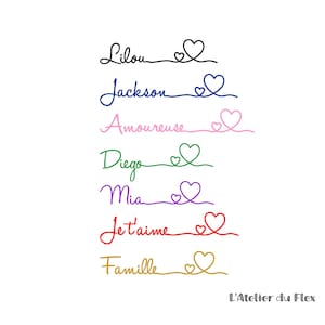 Personalized word flocking, iron-on flex, sizes and colors to choose from