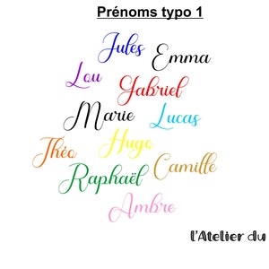 Personalized first name flocking, iron-on flex, sizes, writing and colors of your choice