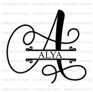 Flocking Monogram capital initial first name flex iron-on sizes and colors of your choice