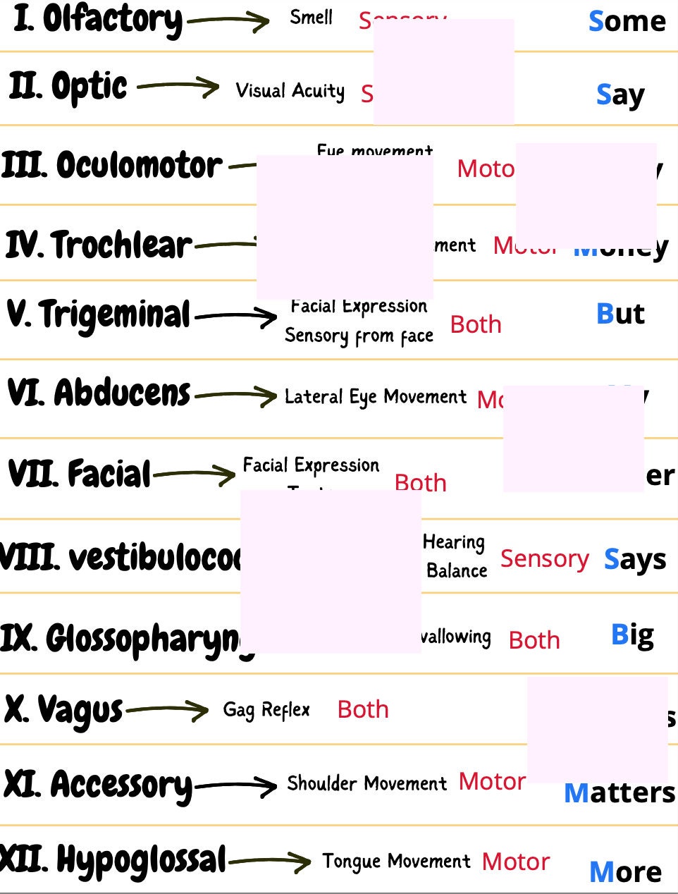 Cranial Nerves, Mnemonics, Easy to Remember Guide Etsy