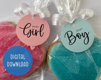 Printable Baby Girl and Baby Boy Gift Tag | Digital Download | Newborn Baby Gift Labels | Baby Shower Present Tag | Gender Reveal Party Tag