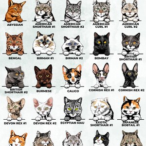 May include: A chart featuring 20 different cat breeds, each with a photo of a cat representing the breed. The breeds are: Abyssinian, American Shorthair #1, American Shorthair #2, American Curl #1, American Curl #2, Bengal, Birman #1, Birman #2, Bombay, British Shorthair #1, British Shorthair #2, Burmese, Calico, Cornish Rex #1, Cornish Rex #2, Devon Rex #1, Devon Rex #2, Egyptian Mau, Exotic Shorthair #1, Japanese Bobtail #1, Japanese Bobtail #2, Maine Coon #1, Maine Coon #2, Munchkin, Norwegian Forest.
