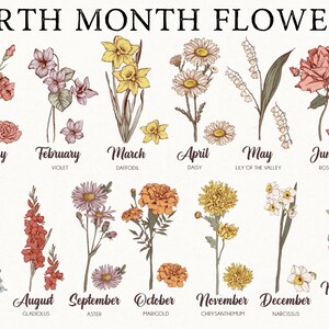 Pode incluir: Ilustra&ccedil;&atilde;o bot&acirc;nica com flores do m&ecirc;s de nascimento. A imagem apresenta uma variedade de flores, incluindo cravos, violetas, narcisos, margaridas e rosas, cada uma rotulada com o seu m&ecirc;s correspondente. O texto "BIRTH MONTH FLOWERS" est&aacute; no topo.