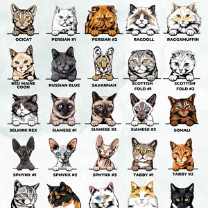 May include: A chart featuring 20 different cat breeds, each with a photo of a cat and the breed name. The breeds include Ocicat, Persian, Ragdoll, Ragamuffin, Red Maine Coon, Russian Blue, Savannah, Scottish Fold, Selkirk Rex, Siamese, Sphynx, Tabby, Turkish Angora, Turkish Van, and Tuxedo.